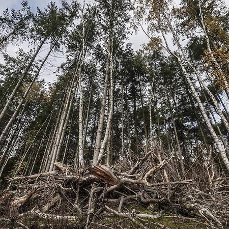Veul Oe Thuus Hoeve Kroep An Vorden Kültér fotó
