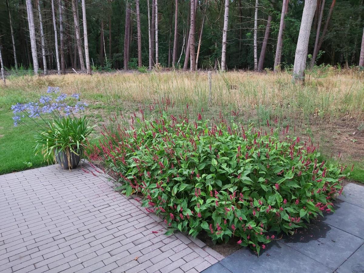 Veul Oe Thuus Hoeve Kroep An Vorden Kültér fotó